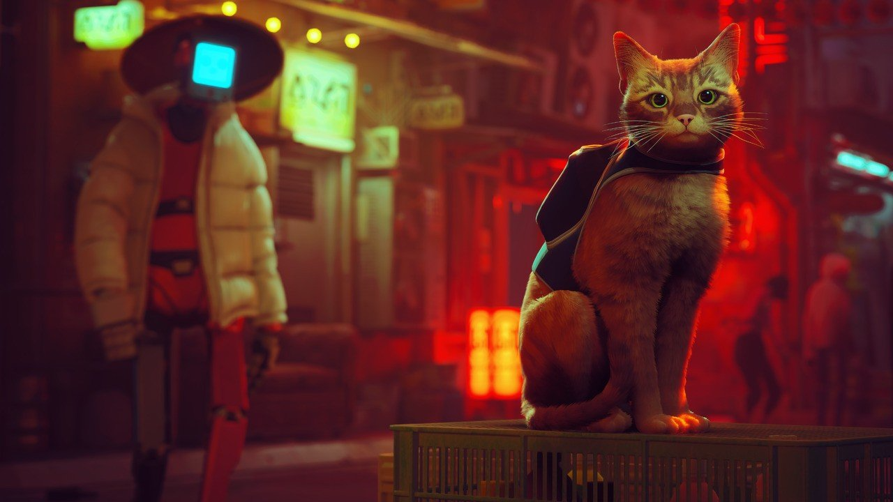 Mňau! Stray je v současnosti nejatraktivnější hra na Steamu, přeskočila podivné The Day Before