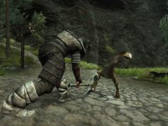 Pozadí pod obrázkem