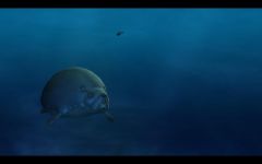 Pozadí pod obrázkem