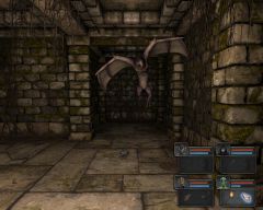 Pozadí pod obrázkem