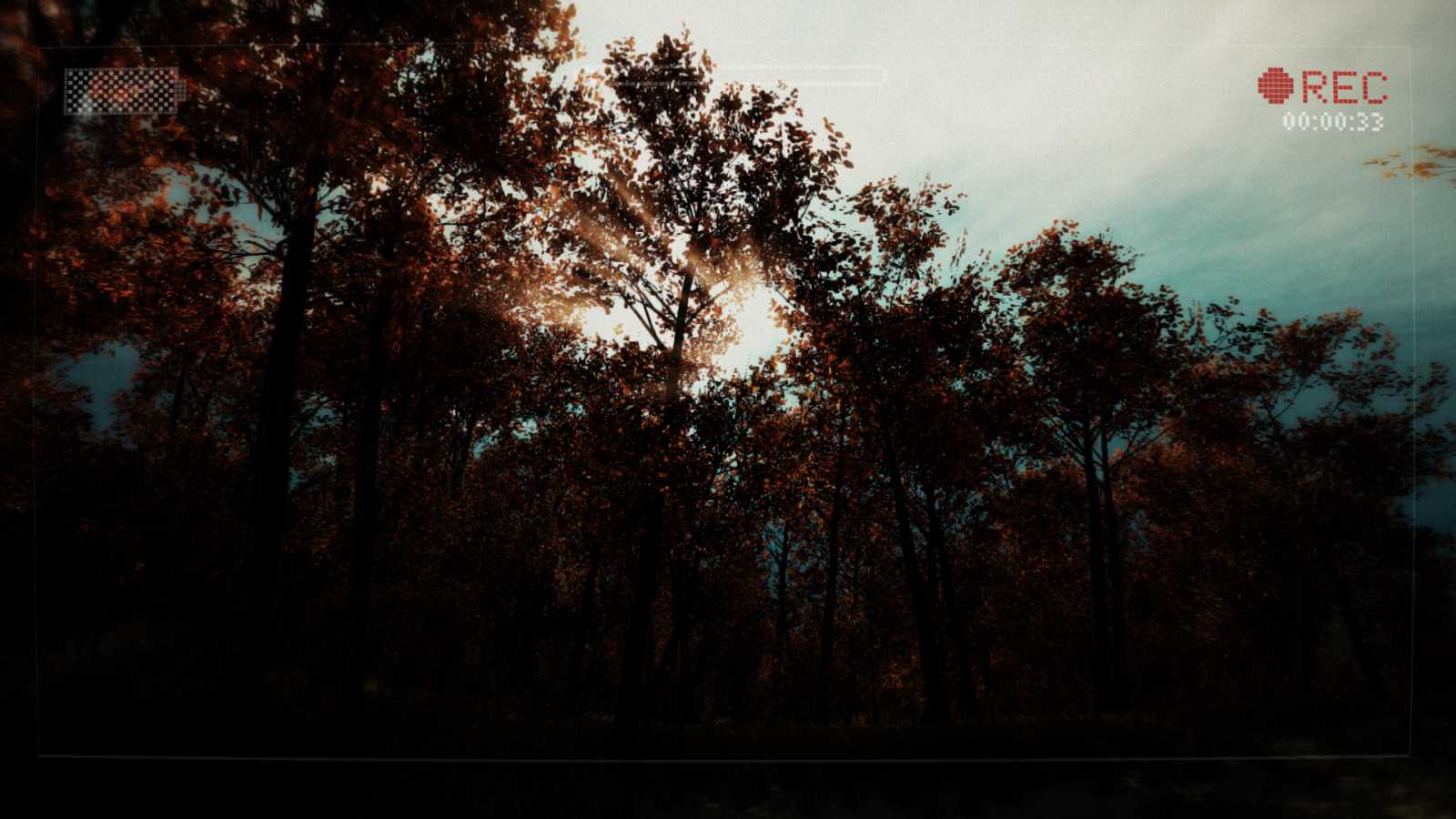 Slender: The Arrival