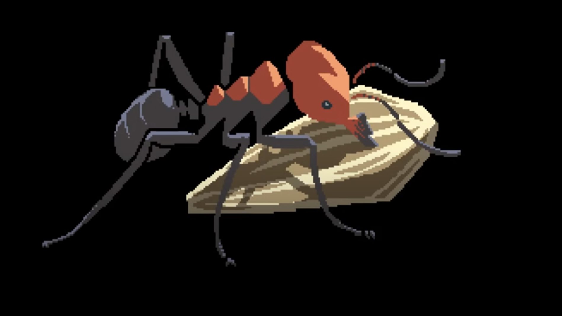 Český biolog pracuje na „mravenčí strategii“ Garden of Ants
