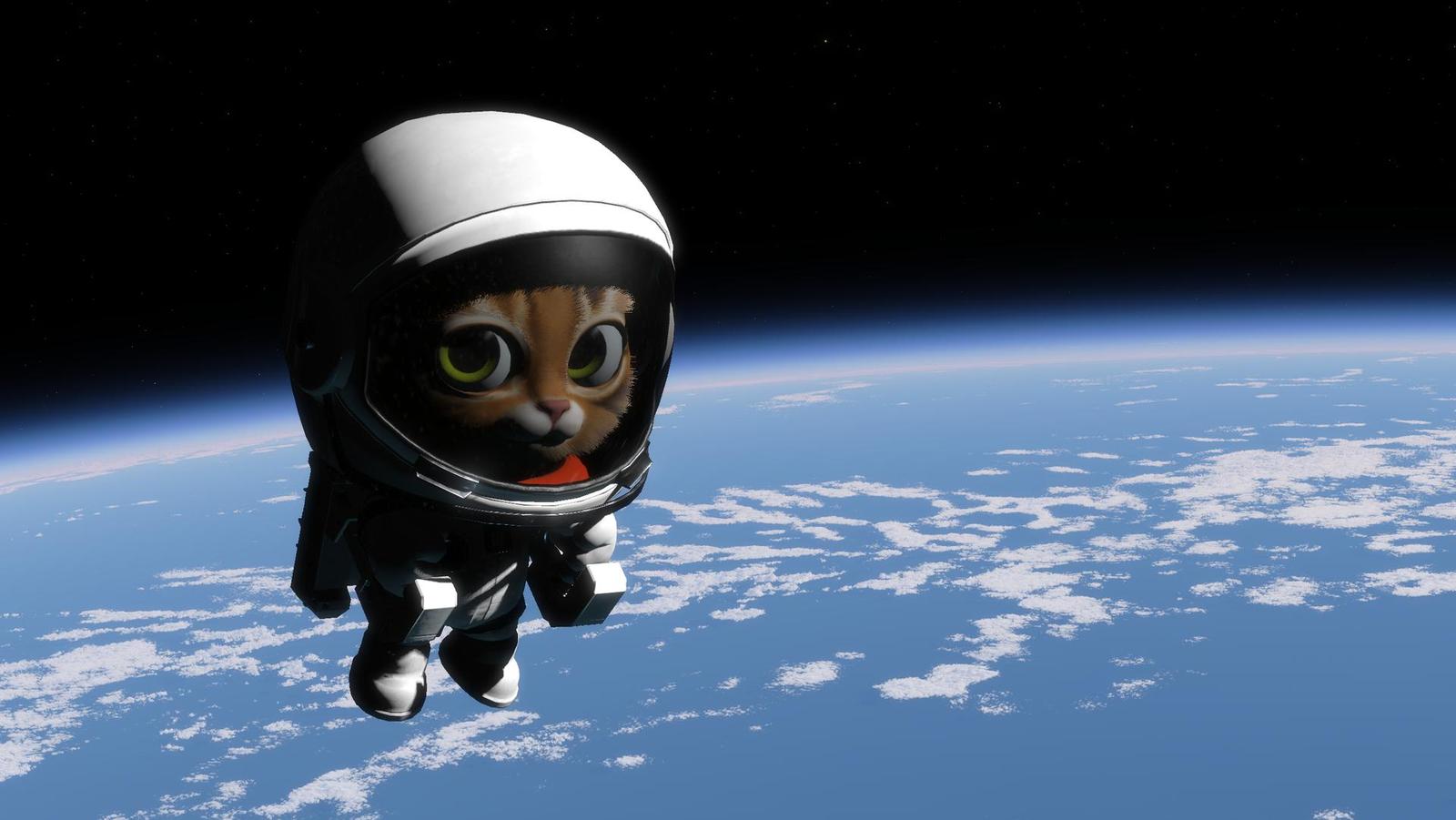 Tvůrci Kerbal Space Program a DayZ posílají kočky do vesmíru