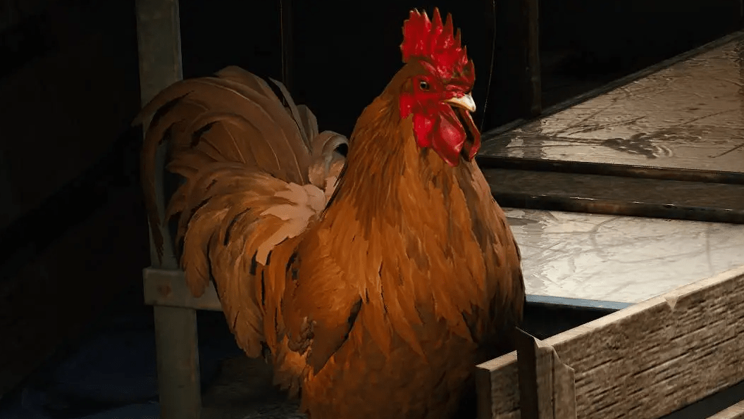 Vývojáři prozradili opravdový příběh kohouta Scrappyho z ARC Raiders