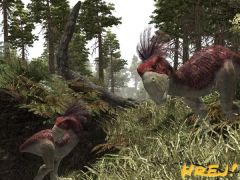 Pozadí pod obrázkem