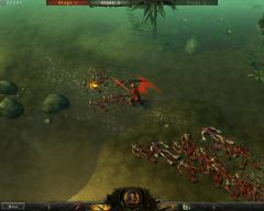 Pozadí pod obrázkem