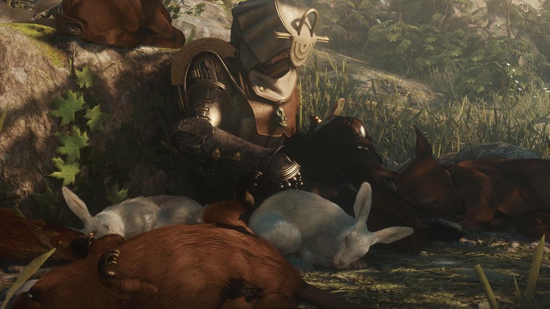 „Bylo to hloupé rozhodnutí.“ Tvůrci Soulframe litují názvu hry