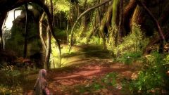 Pozadí pod obrázkem