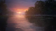 Pozadí pod obrázkem