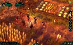 Pozadí pod obrázkem