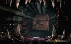 Pozadí pod obrázkem