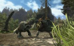 Pozadí pod obrázkem