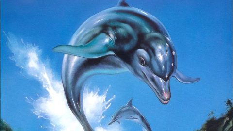 Návrat ikony 90. let. Ecco the Dolphin dorazí v nové kolekci