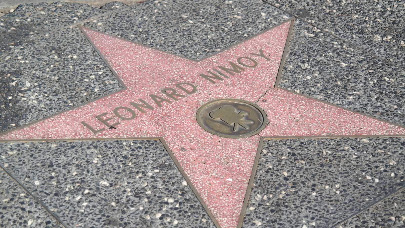 E3 Blog #4: Best Job I Ever Had