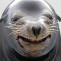 commenter-profile-image